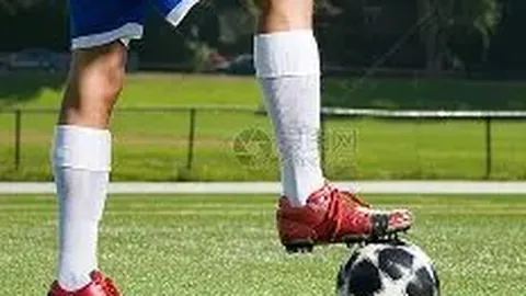 千亿体育 产品 133334 785